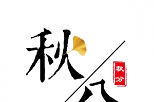秋分主题银杏装饰文字效果