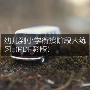 幼小衔接大练习册（PDF彩色版）