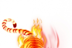燃烧的老虎