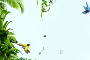 绿色植物唯美小清新背景