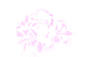 中秋节高清多图层素材 花重影