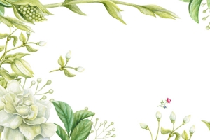 绿色小清新花草装饰边框