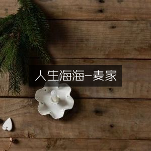 人生海海，麦家文学艺术经典之作