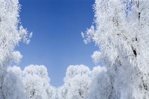 冬季大雪雪景H5背景免费下载