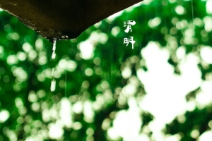 春天 四月 清明节 青团 海报 背景28