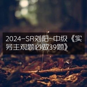 2024年SR刘阳精讲，中级实务主观题39道必做题