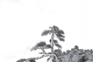 古典水墨松树美景