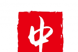 红色水墨风不规则中医字样印章矢
