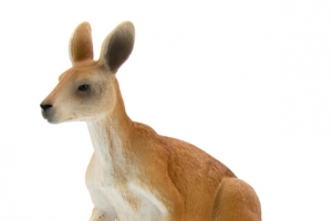 袋鼠高清PNG透明装饰元素动物设计素材免费下载