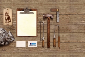 工具笔记猫咪海报背景