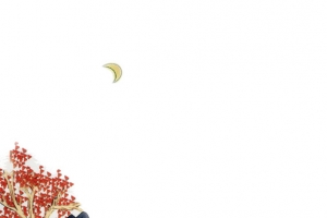观月图片