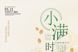 小满，海报风，二十四，节气