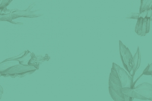 纯色背景花纹海报图