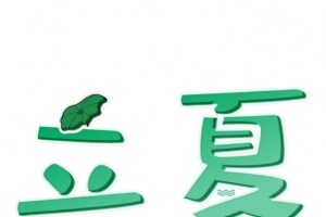 创意字艺术字  夏至立夏节气