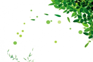 绿色植物 藤蔓素材