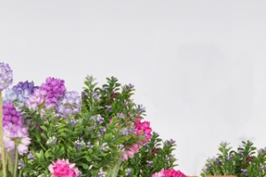 淘宝背景图 banner  首页 海报