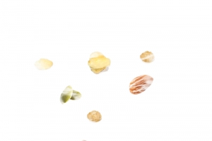 坚果谷物旋风高清PNG透明漂浮元素设计素材免费下载