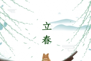 立春手绘飞檐元素图柳条元素