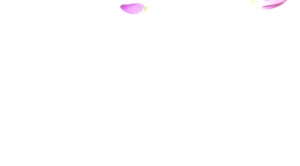 玫粉玫瑰花瓣飘零