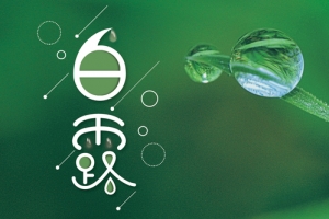 二十四节气白露植物露水banner海报
