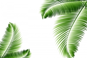 叶子底纹高清PNG透明植物装饰元素设计素材免费下载