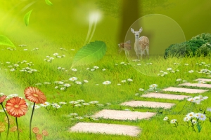 别墅房子花园淘宝网站背景图