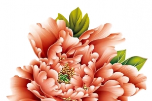 国潮大朵菊花红色元素