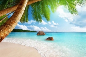 夏天背景banner