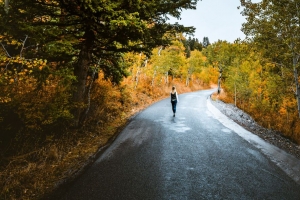 孤独 行走 道路 秋天 孤独 森林 4k壁纸 3840x2160