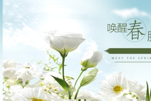 春天风格背景图