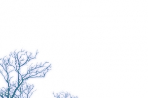 冬日雪山树木场景