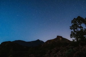 树 岩石 星空 星星 夜晚 深色 4k壁纸 3840x2160
