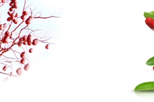 美味红枣简约白色banner