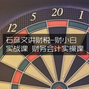 石彦文财税实战课，财税小白&财务会计实操指南