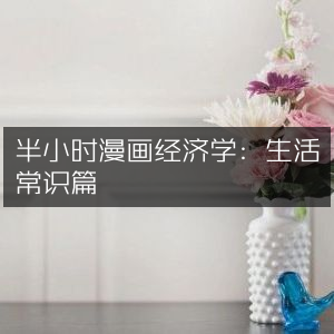 半小时漫画经济学，生活常识与个人能力提升必备读物