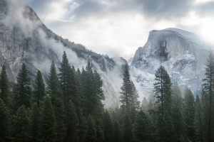 树林 山 自然美景 4k壁纸