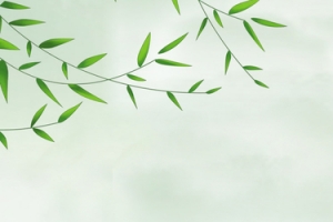 春分文艺清新中国风banner