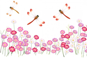 蜻蜓 水彩红花