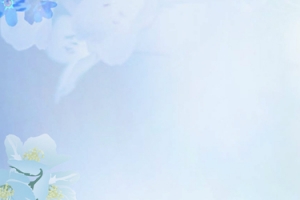 减肥瘦身蓝色简约Banner