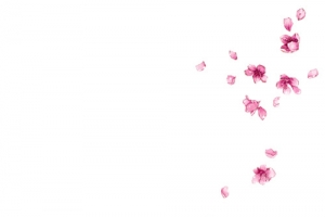 粉色漂浮花朵