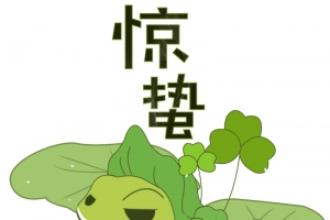 春分，青蛙，荷叶，字体