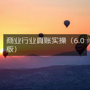 商业行业真账实操实战指南6.0版