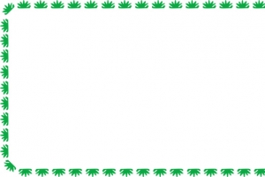雪花边框