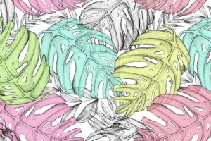  monstera 树叶 艺术 4k壁纸 3840x2160