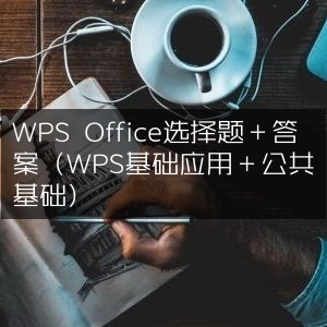 WPS Office选择题及答案详解（涵盖基础应用与公共基础）