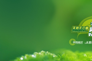 绿色有机蔬菜促销广告