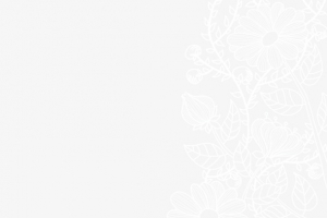 蕾丝花纹纹样边框