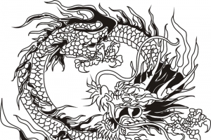 中华龙线框图