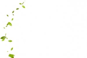 素材 矢量 PNG 通用 飘着的树叶