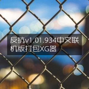 反抗游戏v1.01.934中文版联机体验，附带XG打包器
